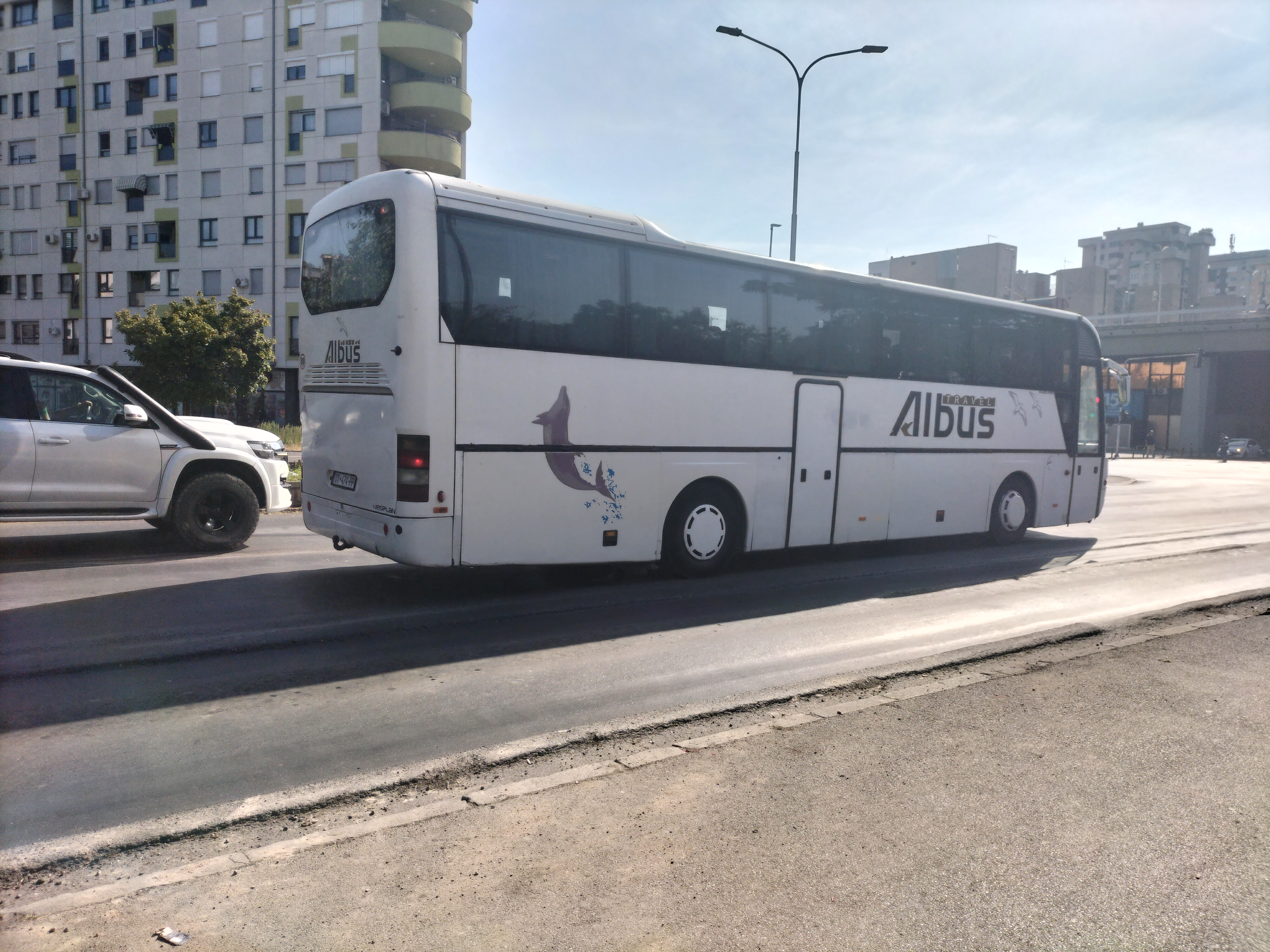 Albus Bus